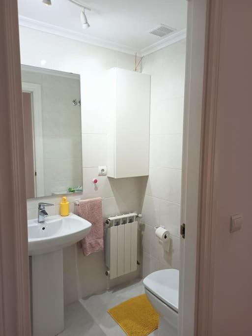Bajo Con Jardin Privado Apartment Сантандер Екстериор снимка