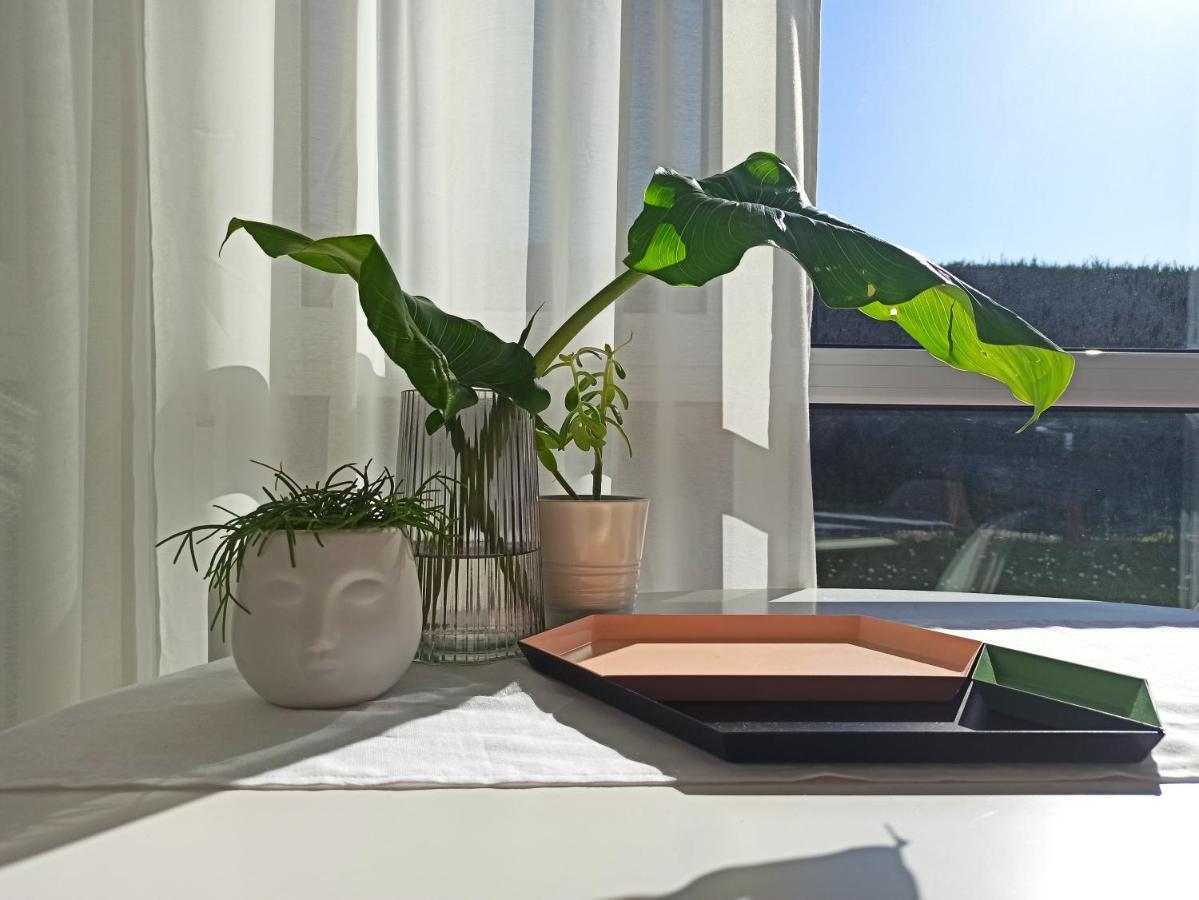 Bajo Con Jardin Privado Apartment Сантандер Екстериор снимка