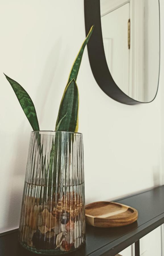 Bajo Con Jardin Privado Apartment Сантандер Екстериор снимка