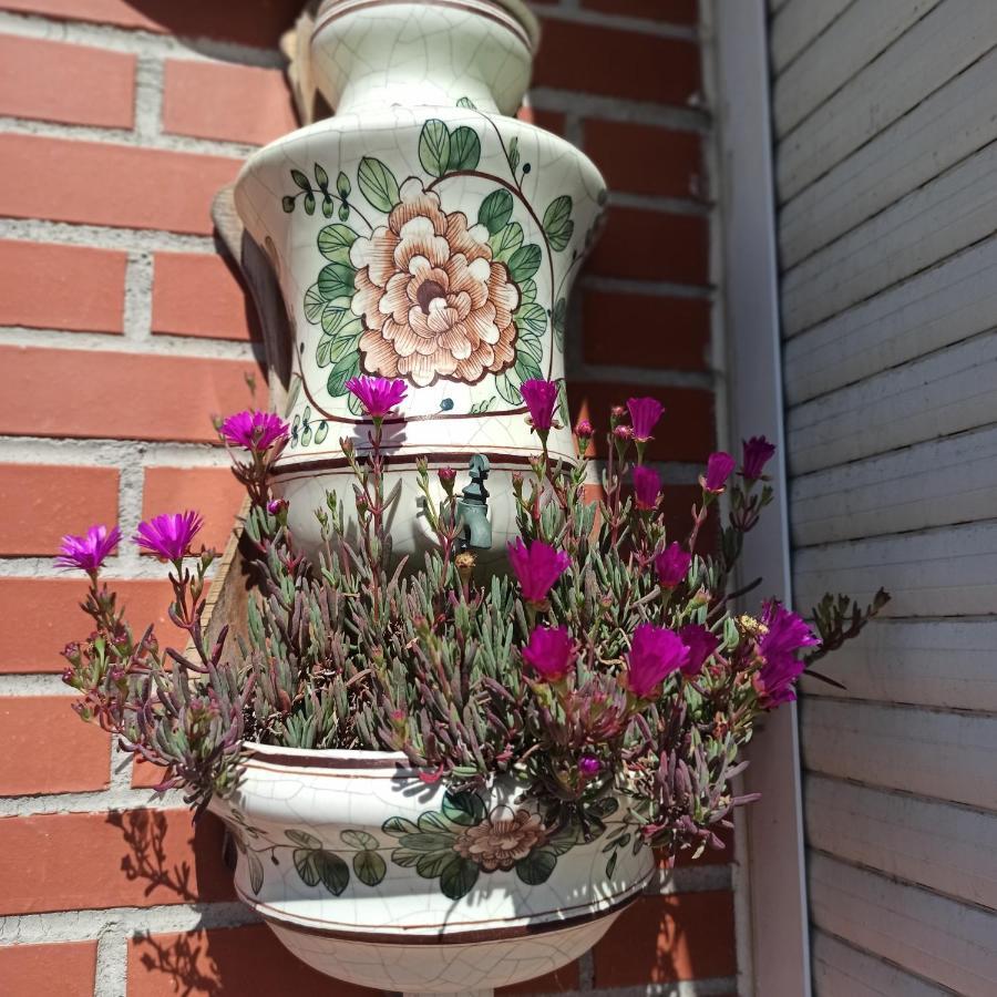 Bajo Con Jardin Privado Apartment Сантандер Екстериор снимка